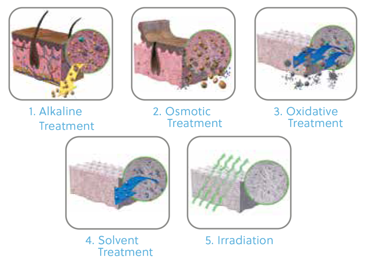A labeled, illustrated diagram showing the five stages of the proprietary Tutoplast® Process used to sterilize Puros® allografts: 1) Alkaline Treatment, 2) Osmotic Treatment, 3) Oxidative Treatment, 4) Solvent Treatment, and 5) Irradiation. Each stage is depicted with a visual cross-section of tissue undergoing the respective sterilization step. The image highlights the science-backed, multi-phase purification process behind ZimVie's trusted tissue solutions.