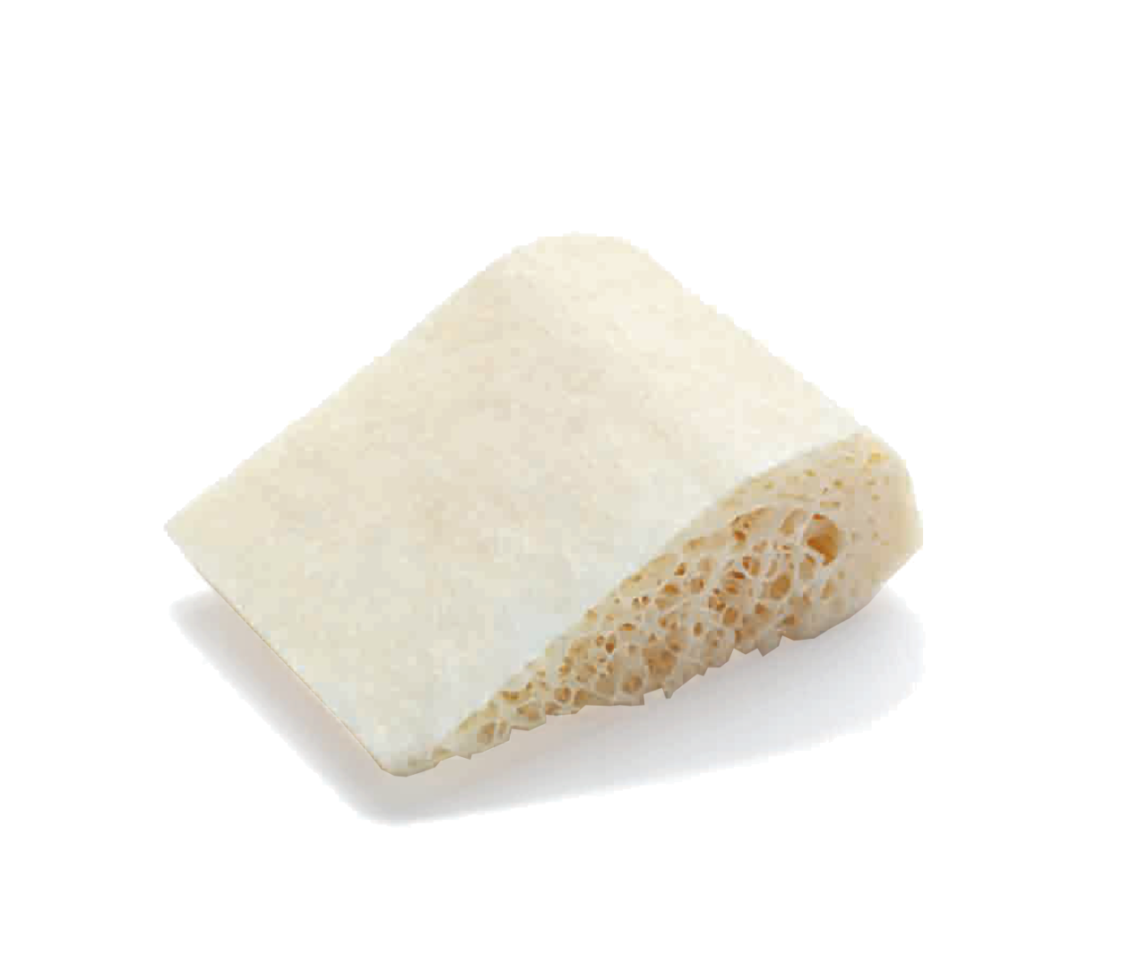 Puros Allograft Block