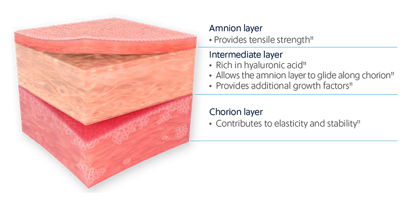 ZimVie Dental Biomaterial Solutions Biotivity A C Plus Membrane Aminion Layer
