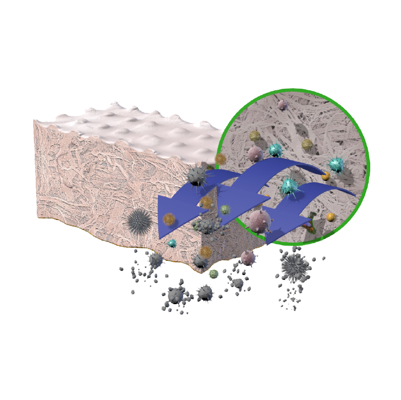 The Proprietary Tutoplast® Process - Step 3: Oxidative Treatment
