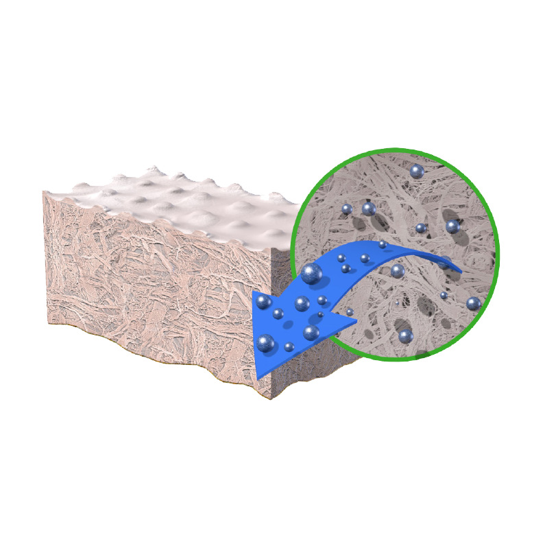 The Proprietary Tutoplast® Process - Step 4: Solvent Treatment