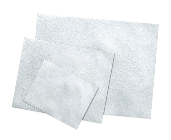 BioMend® and Biomend Extend™ Membrane