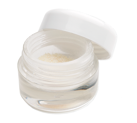 Puros® Cancellous Particulate Allograft Container