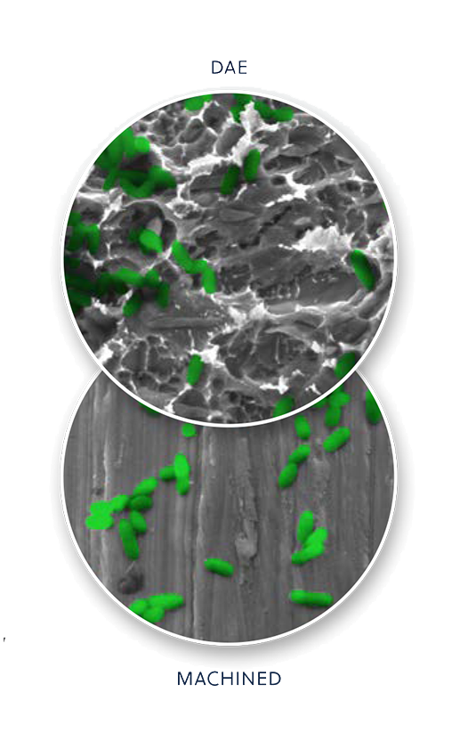 Microscopic comparison showing the ZimVie Dental Implant DAE (Dual Acid Etched) surface with enhanced microtexture for osseointegration versus a smoother machined surface, highlighting differences in surface roughness and bacterial adhesion.